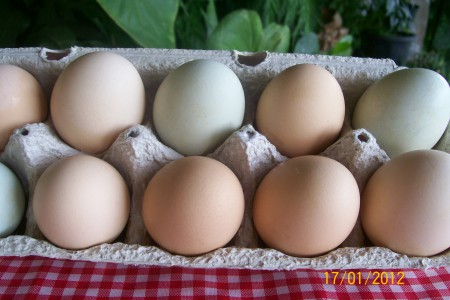 Ovos Caipira - 01 dúzia - R$ 4,00